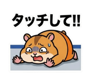 843420459