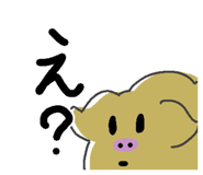 843420484