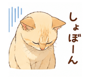 843420754