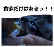 843420895