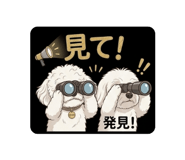 843420925