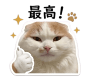 843421369