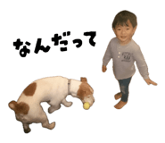 843421555