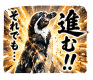 843422035
