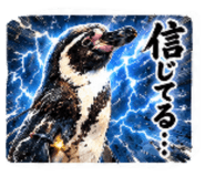 843422039