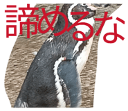 843422069