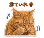 843422296