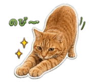 843422298
