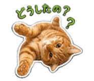843422305