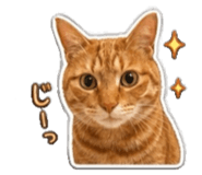 843422307