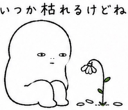 843422909