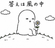 843422916
