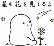 843422927
