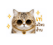 843422935