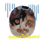 843423106