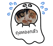 843423109