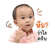 843423333
