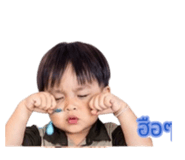 843423364