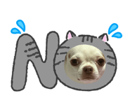 843423798