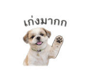 843424007