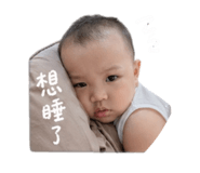843426452