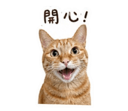 843426755