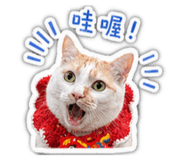 843426781