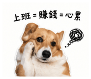 843427864