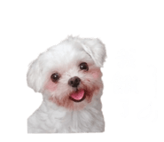 843429655