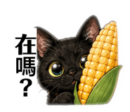 843429848