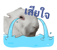 843431363