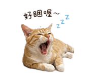 843433106