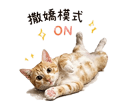 843433110