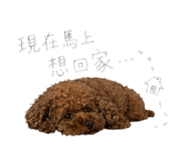 843433239