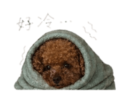 843433243