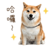843433313
