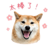 843433314