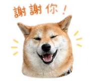843433315