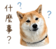 843433317
