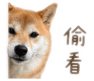 843433319
