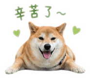 843433320