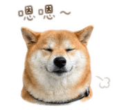 843433324