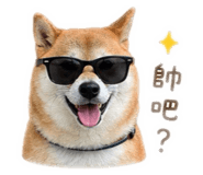 843433325