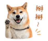 843433326