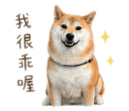 843433327