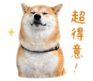 843433328