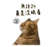843433402