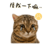 843433405