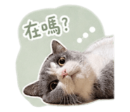 843433570