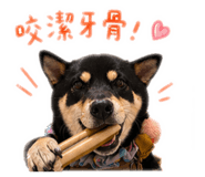 843433600